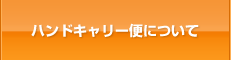 ハンドキャリー便について