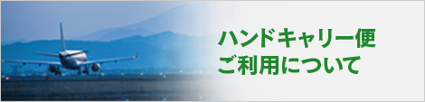 ハンドキャリー便ご利用について