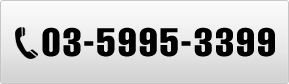 TEL:0359953399